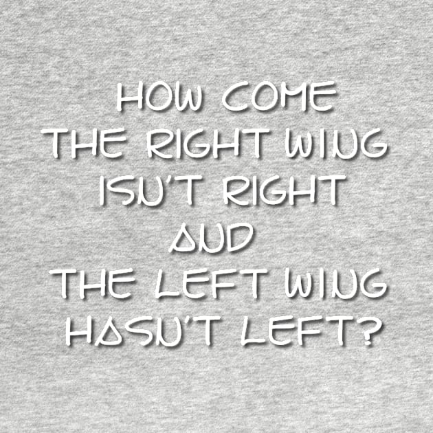 Right Wing Left Wing by Verl